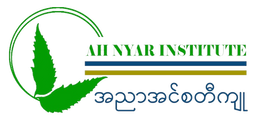 AhNyar Institute Logo